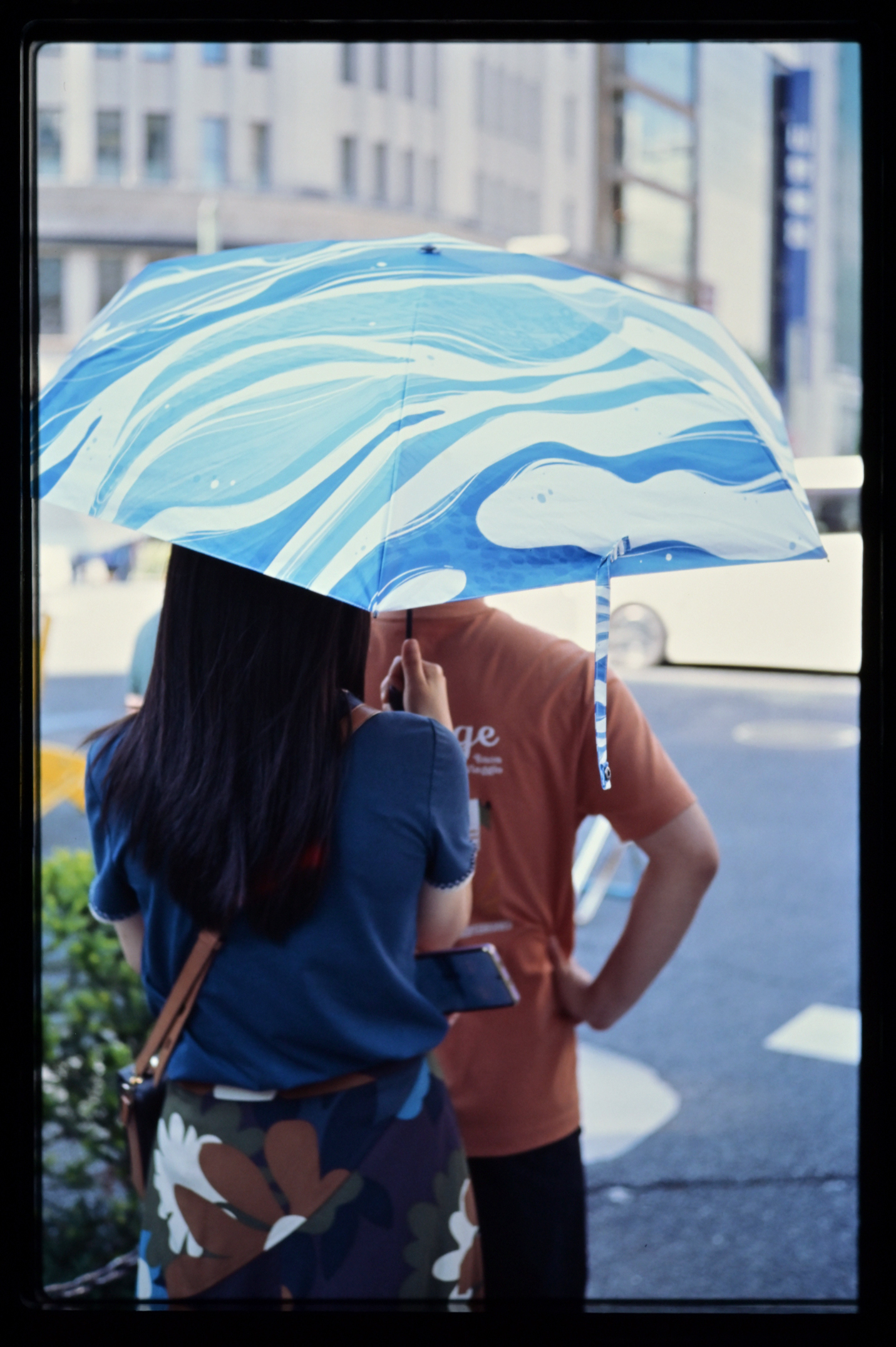 ELMAR-M 50mm / f2.8 (II) (11831/11823) (LEICA ライカ)