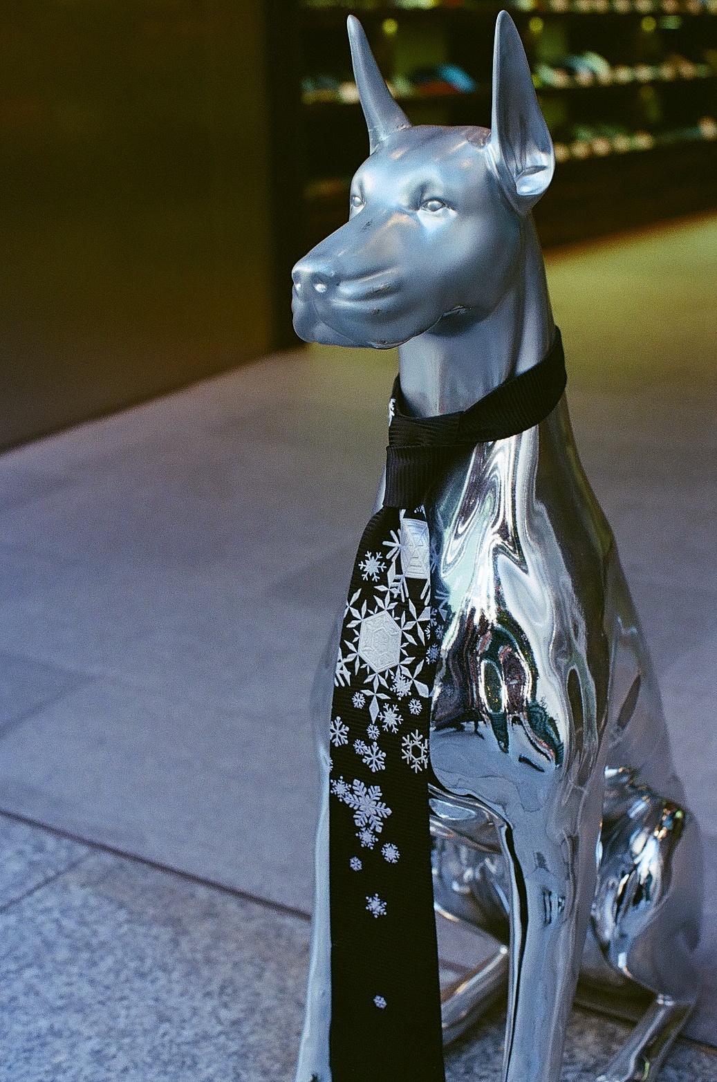 ML 50mm / f1.4 (YASHICA ヤシカ)